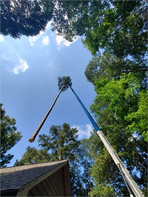 Prime Tree Service