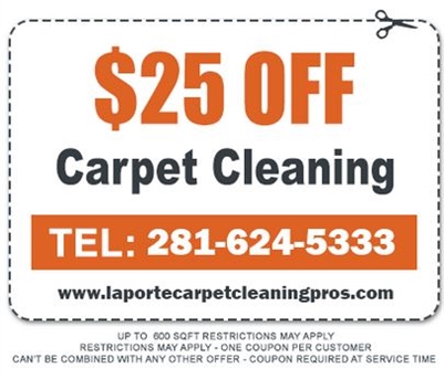 La Porte Carpet Cleaning Pros