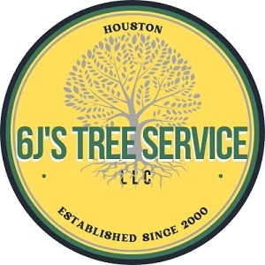 6J'S Tree Service