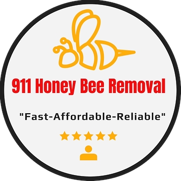 Professional Bee Removal Service From The Woodlands Texas.