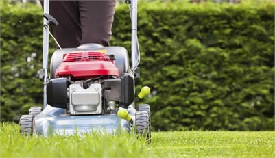 Garden maintenance Wollongong