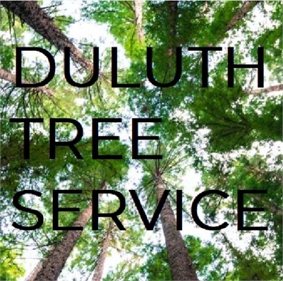 Duluth Tree Service