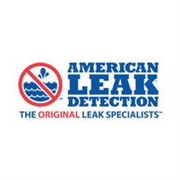  American Leak Detection of Jackson