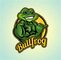 Bullfrog Digital Marketing Agency & SEO Company  Bullfrog Digital Marketing Agency & SEO Company