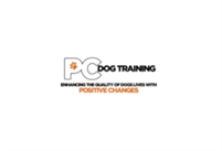 Positive Changes Dog Training Positive Changes Dog  Training