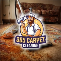 365 Carpet Cleaning carpet cleaner