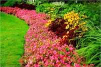 PS LANDSCAPING & DESIGNS PS LANDSCAPING AND DESIGNS